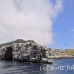 island_wolf_wolf_h_0008_ecu0148.jpg
